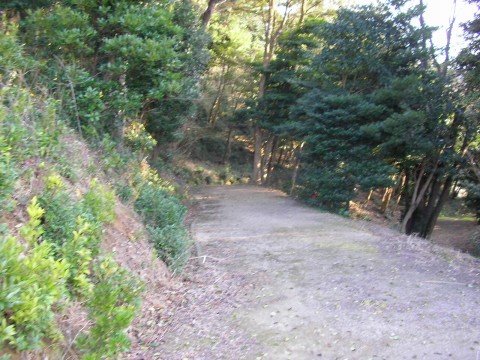 img20070330_2.jpg