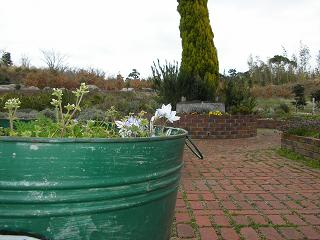 img20060319_1.jpg