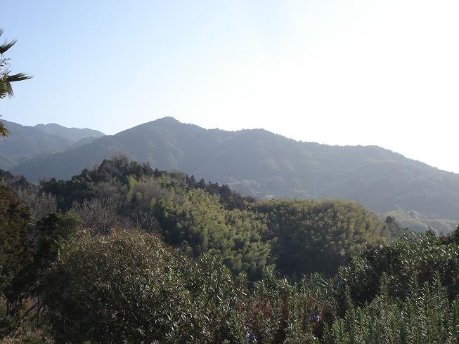 img20090221_2.jpg