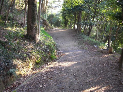 img20070330_3.jpg