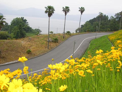 img20060528_1.jpg
