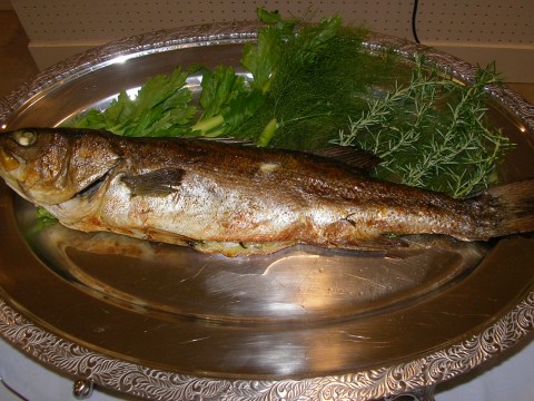 img20060626_2.jpg