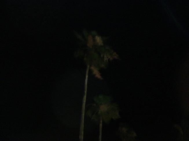 img20090724.jpg