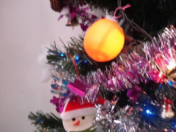 img20081117_1.jpg