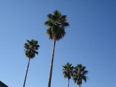 img20081113.jpg