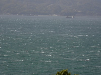 img20060420.jpg