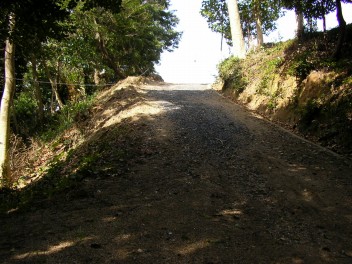 img20060320_3.jpg