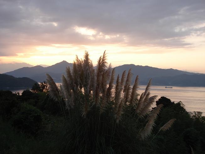 img20090915_1.jpg
