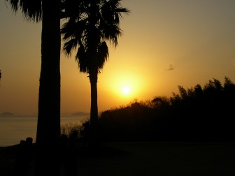 img20060320.jpg