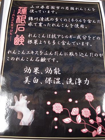 img20090130_2.jpg