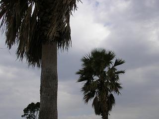 img20060319.jpg