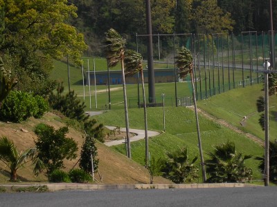 img20060420_1.jpg