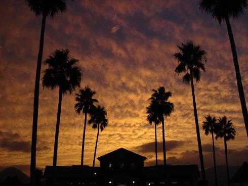 img20080918_3.jpg