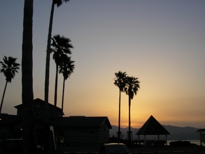 img20060423.jpg
