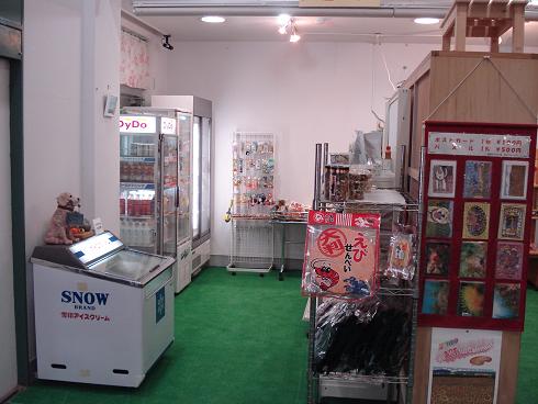 img20090128.jpg