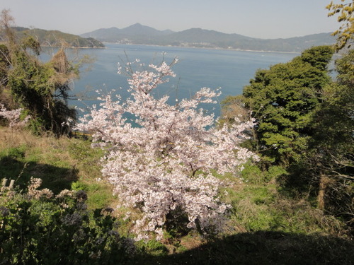 DSC02037