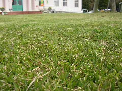 img20060418_1.jpg