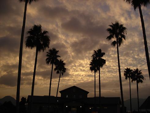 img20080918_2.jpg