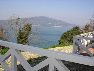 SANY0080.jpg