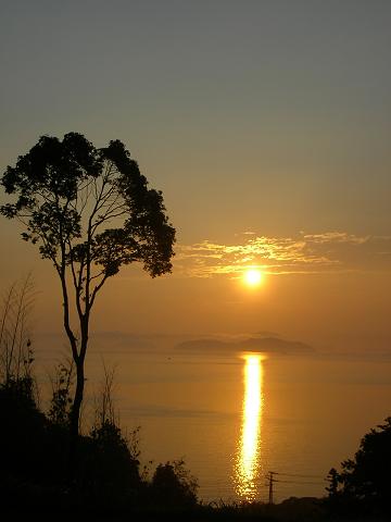 img20060728_1.jpg