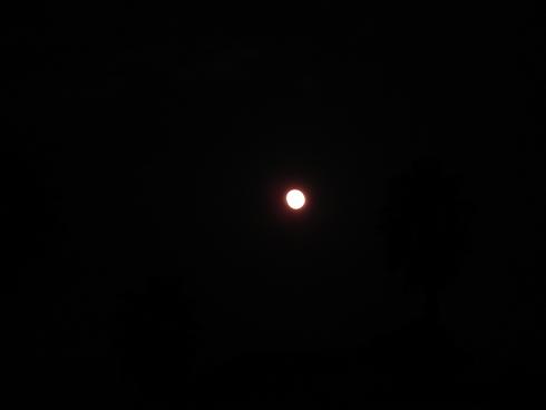 img20080124.jpg