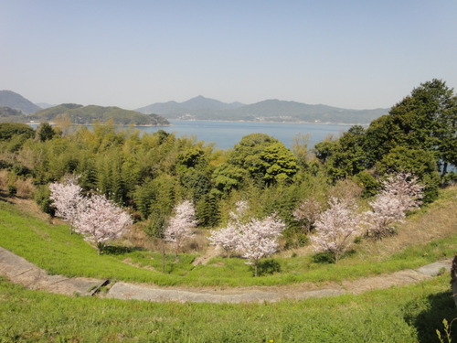 DSC02041