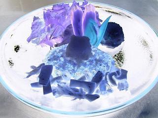 img20060924_1.jpg