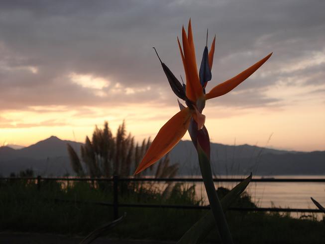 img20090915.jpg