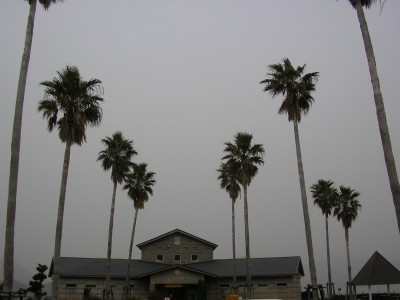 img20060409.jpg