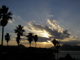 img20060319_4.jpg