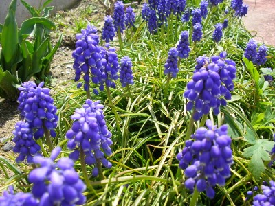 img20060406_1.jpg
