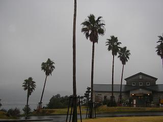 img20060316.jpg