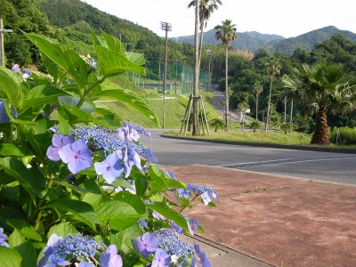 img20060624_3.jpg