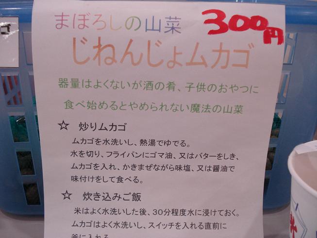 img20090222_1.jpg