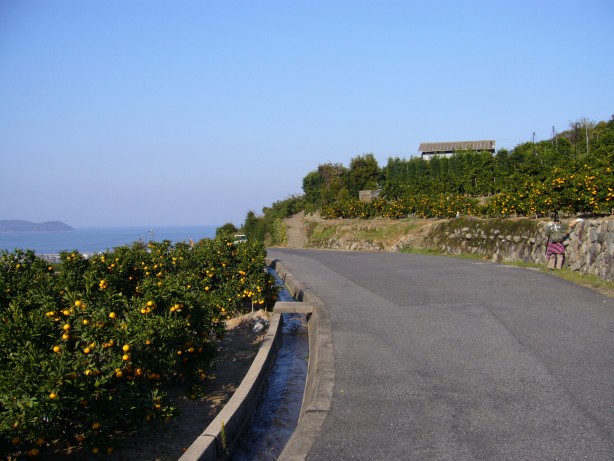 img20061127_1.jpg