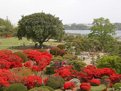 04.jpg
