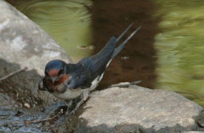 img_4965.jpg