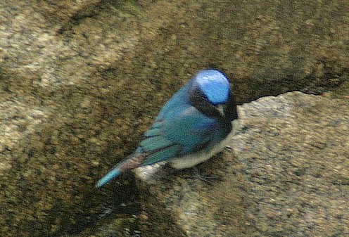 IMG_1680