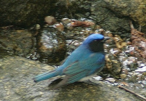IMG_1673