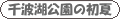 logo1