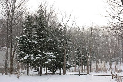 09.jpg