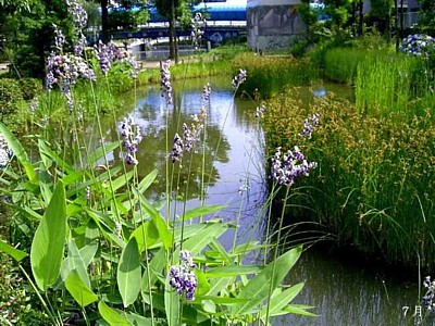 09.jpg