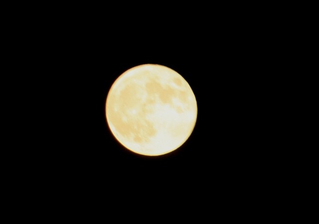 IMG_0019