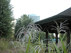 dscn0006.jpg