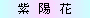 logo.gif