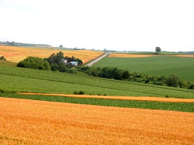 dscn0720.jpg