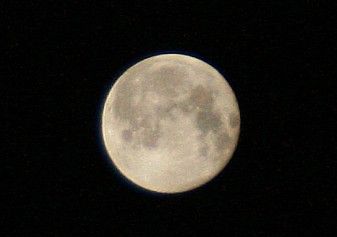 img_0703