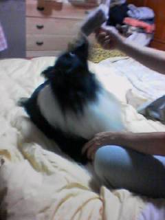 img20070930.jpg
