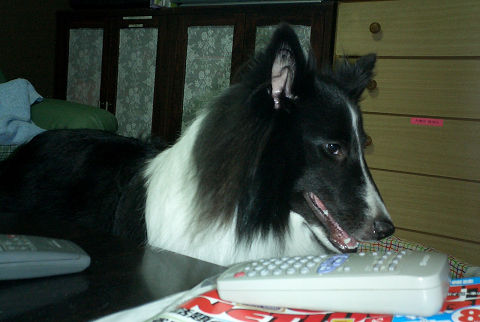 sCIMG0548.jpg