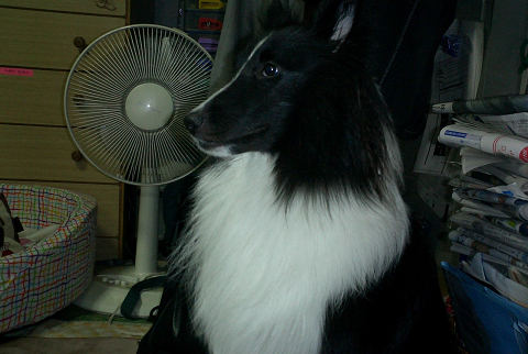 sCIMG0560.jpg